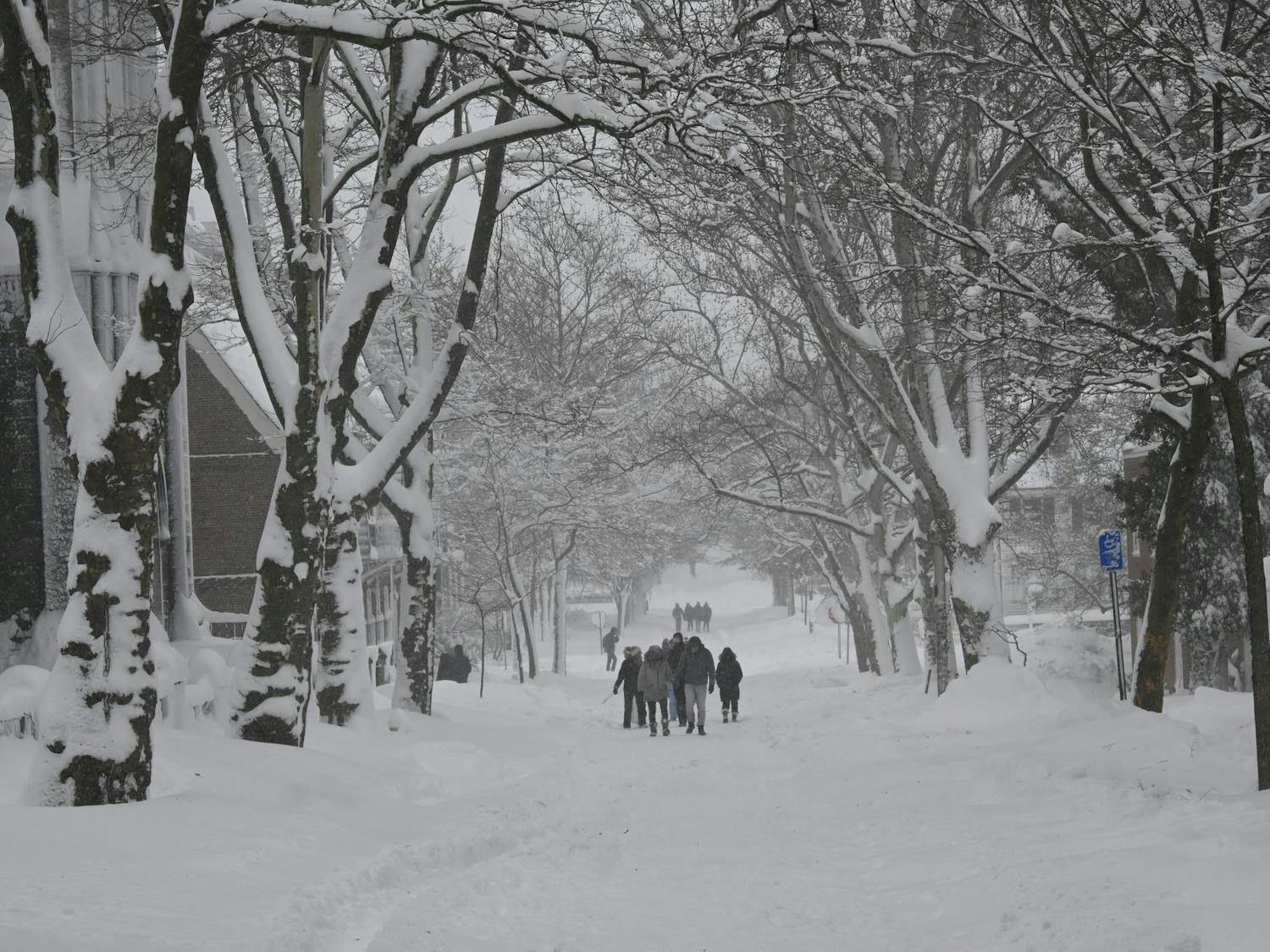 Multiple groups of people walking through the snow-covered road with two rows of trees on the right and the left stretching into the distance.