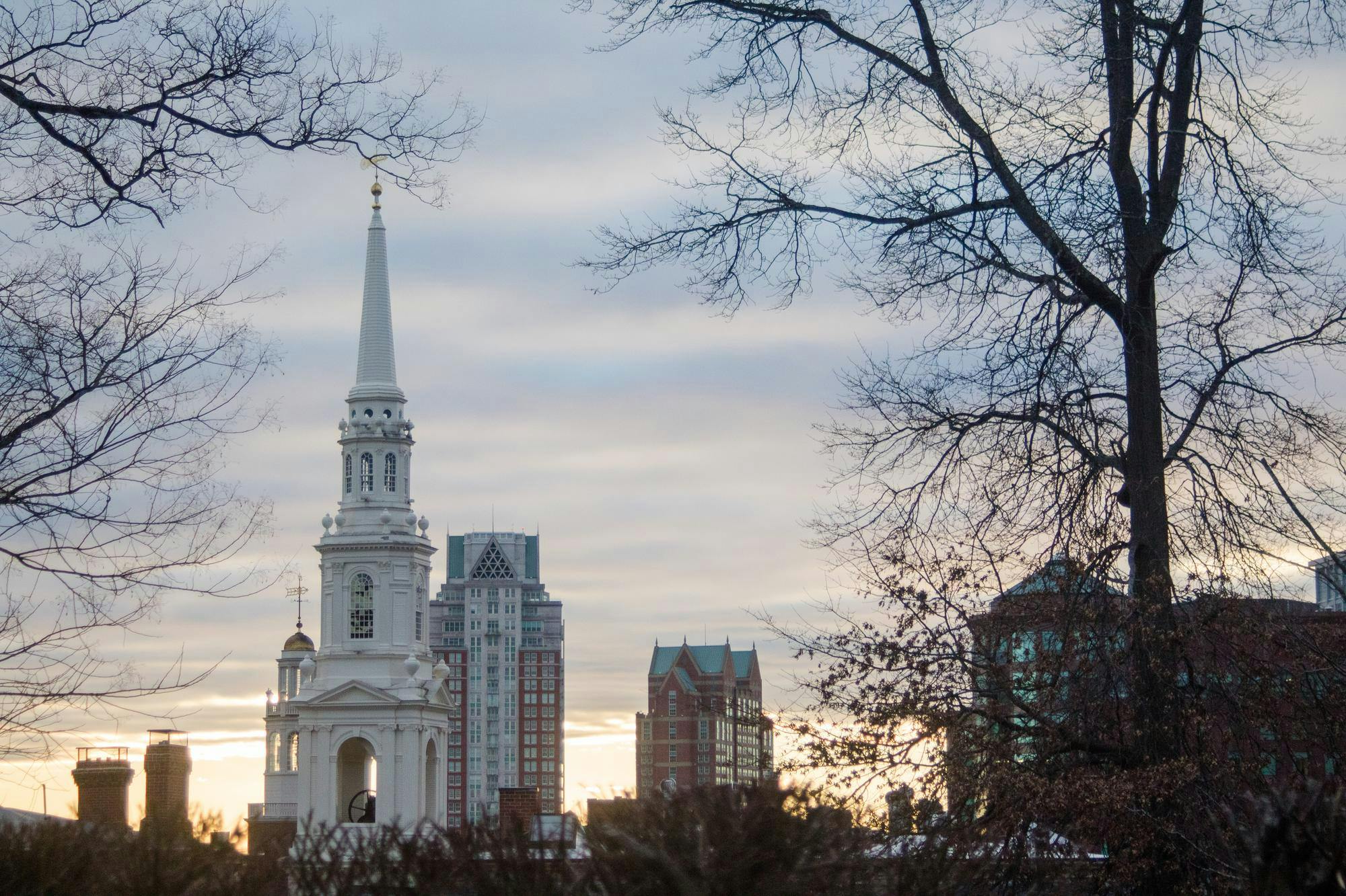 mcdonald_brownfield_co-Maya Wadhwani.jpg