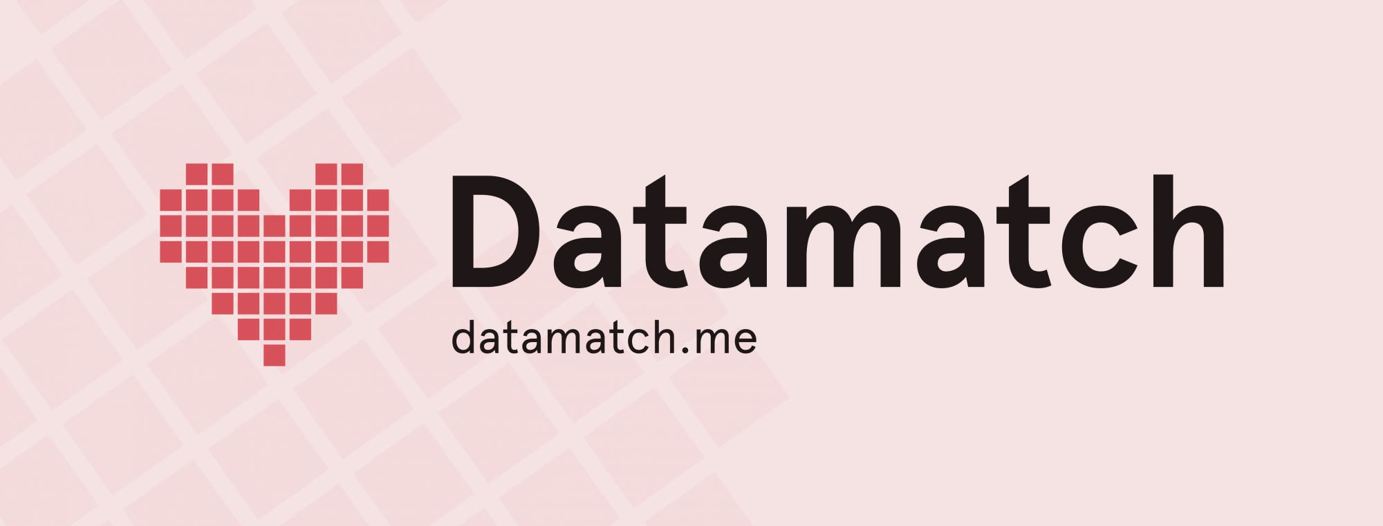 datamatch-image.png