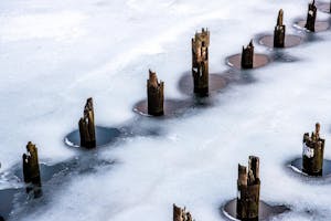 Photo of wood piles in the Providence river surrounded by ice.