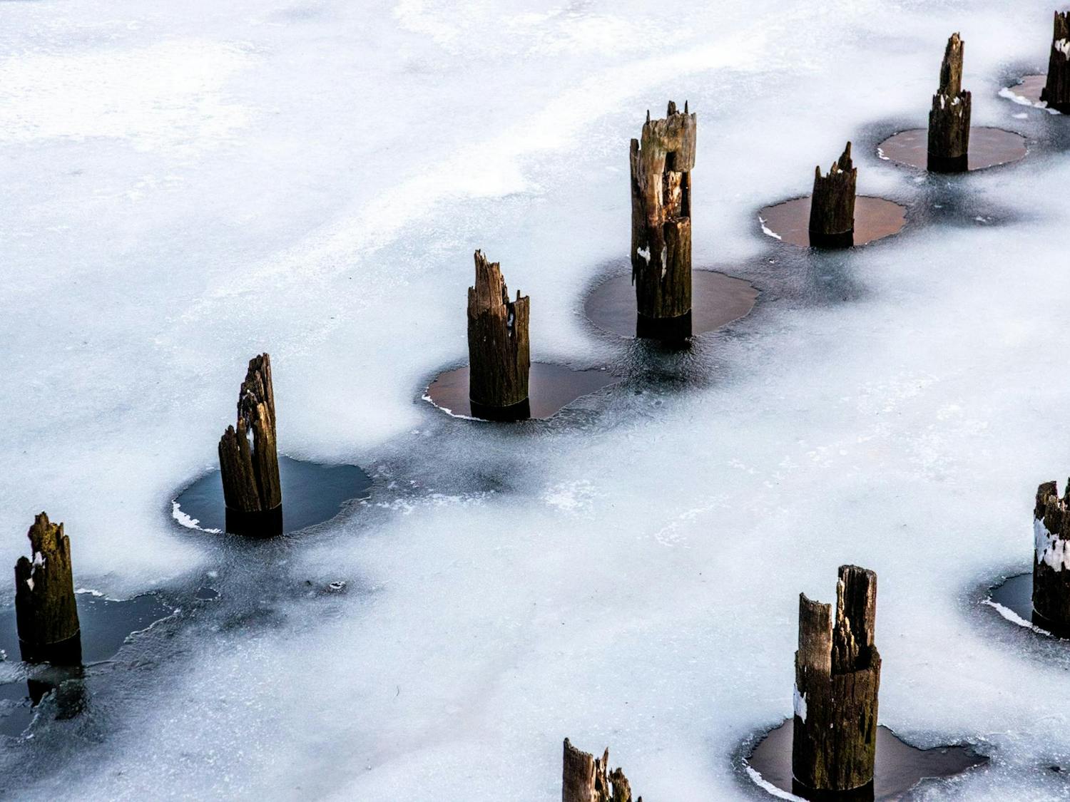 Photo of wood piles in the Providence river surrounded by ice.