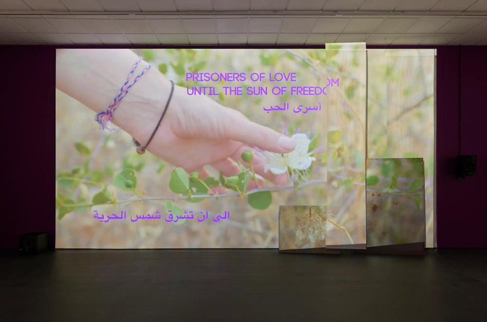 Image of a projection on a wall displaying a hand picking at a white flower.