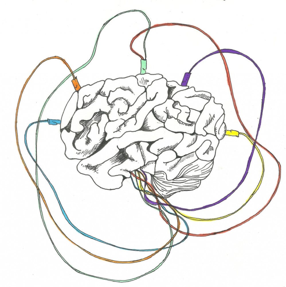 CRyan-Catherine-Habgood-color-herald