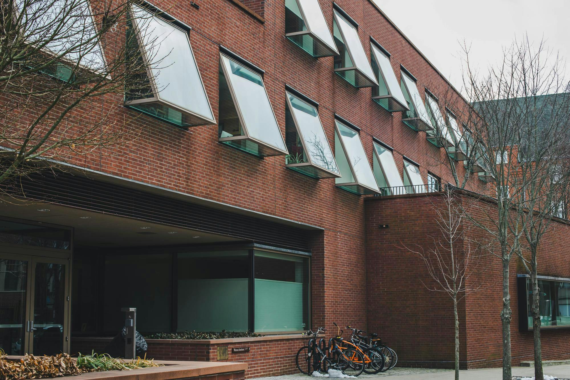 Watson Institute building with multiple bikes in the front and trees on the right. 