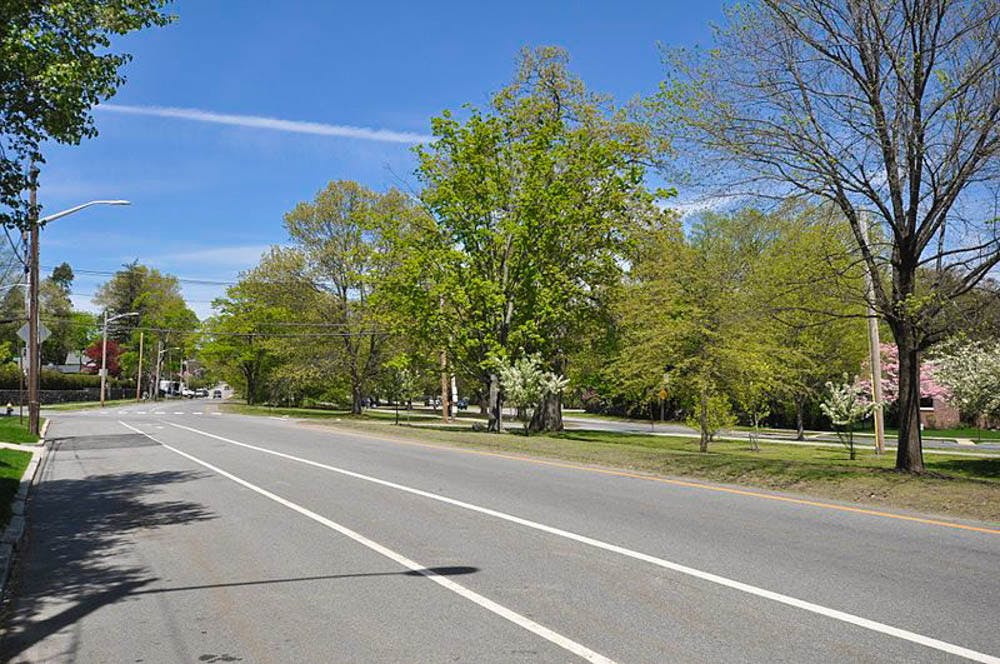 Cumminskey_BreezeAgainstWeheeze_Wikimedia_Wikimedia