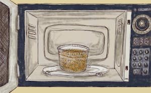 An illustration shows a plastic container in a microwave. 