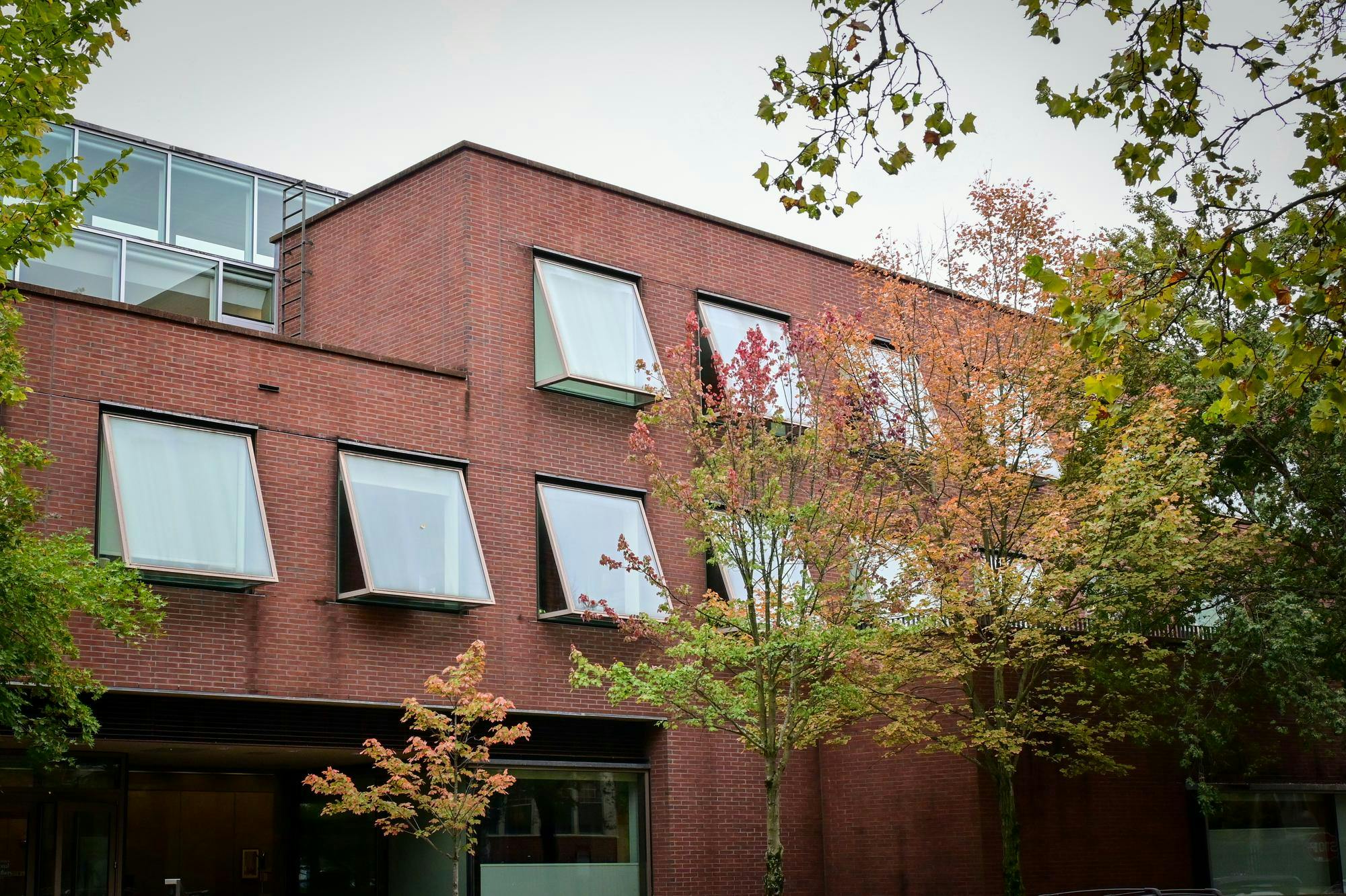 Photo of the Thomas J. Watson Jr. School of International and Public Affairs.  