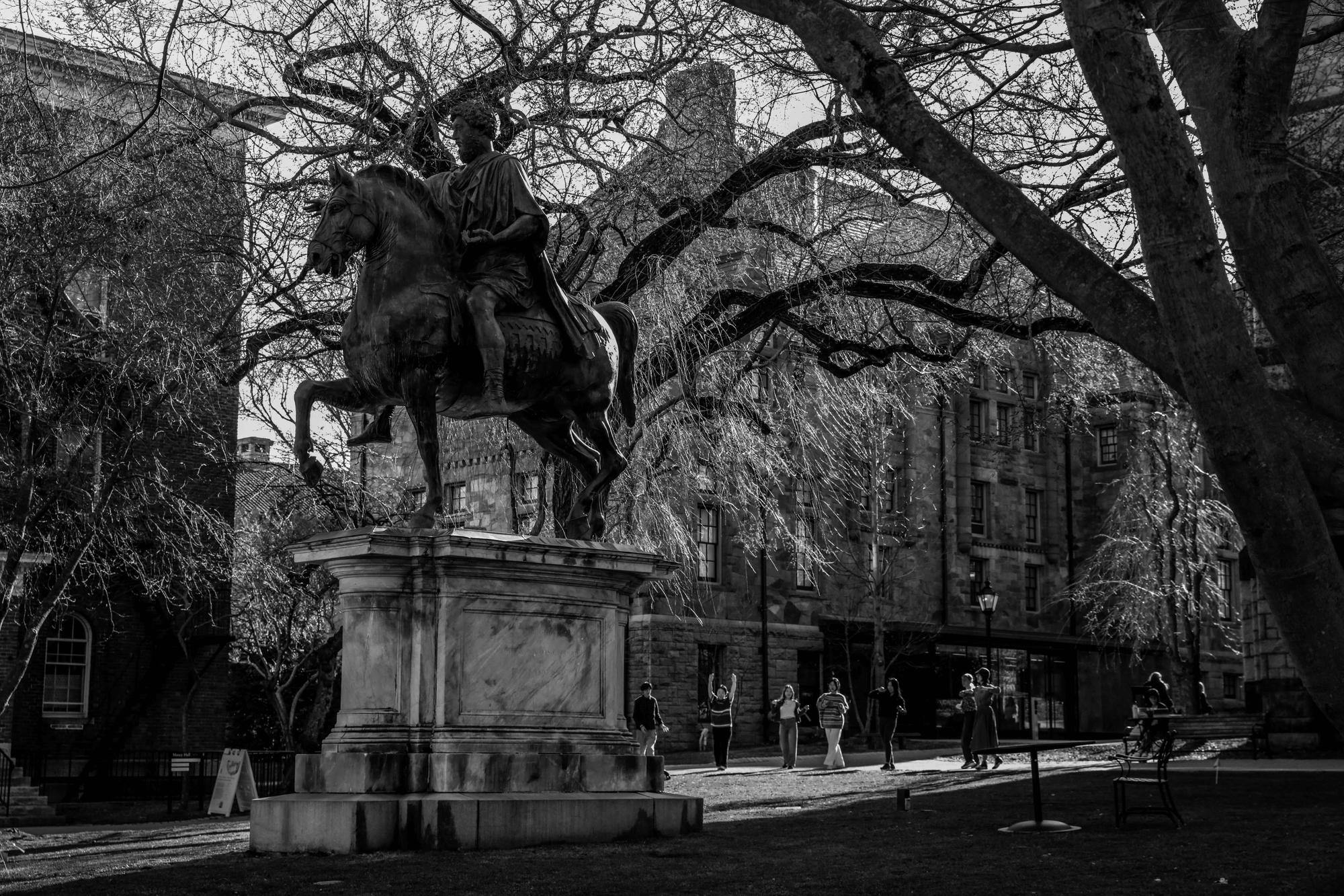 Maya Muravlev-3.jpeg