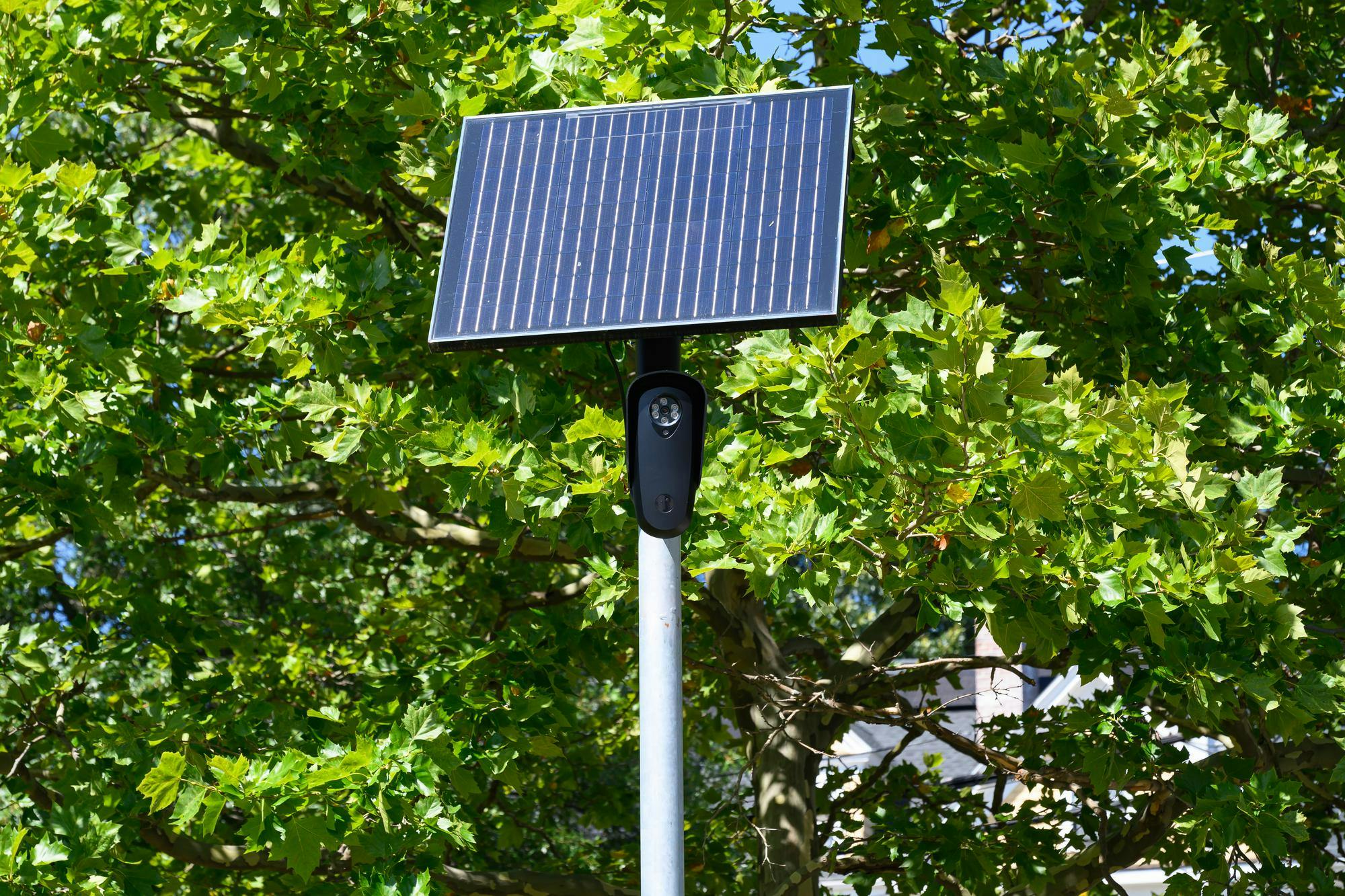 Photo of a black security camera with a solar panel on top of a white pole.
