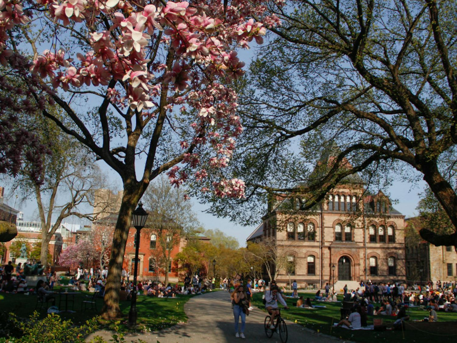 Campus-Victoria-Yin-18