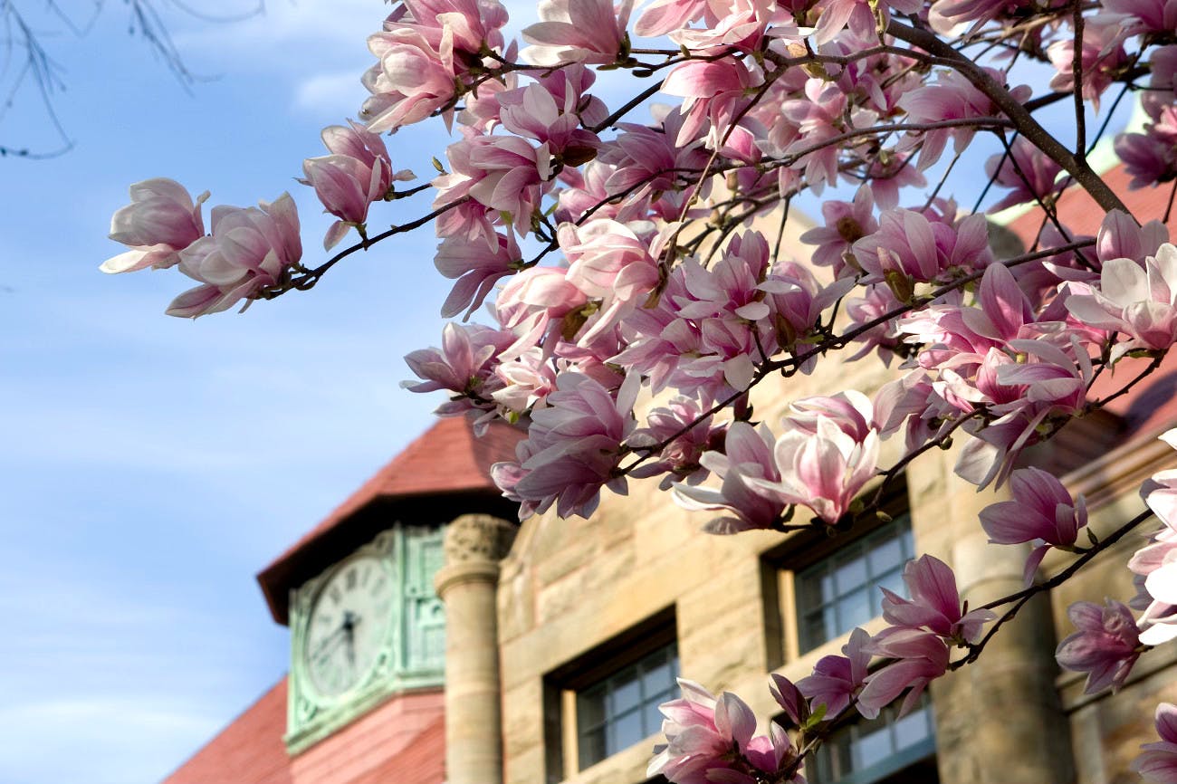 clynes_U_finances_co_Herald_File_Photo