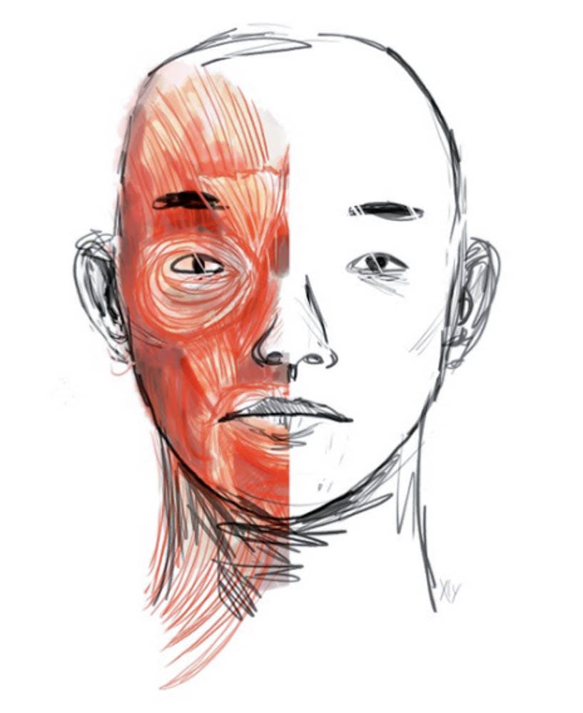 Ibrahim_MedicalIllustrations_ByJadeWang