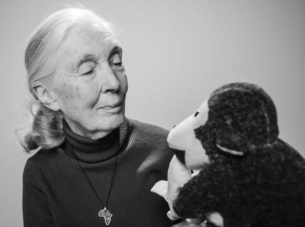 Black and white image of Jane Goodall with a stuffed toy monkey
