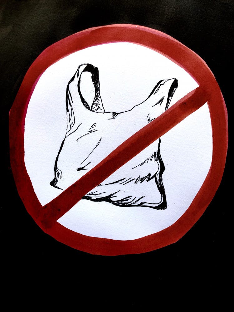 George-Plastic-Bag-Ban