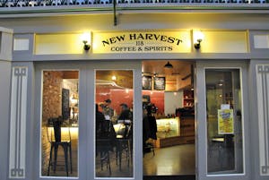 Brandfield-Harvey_New_Cammy-Brandfield-Harvey