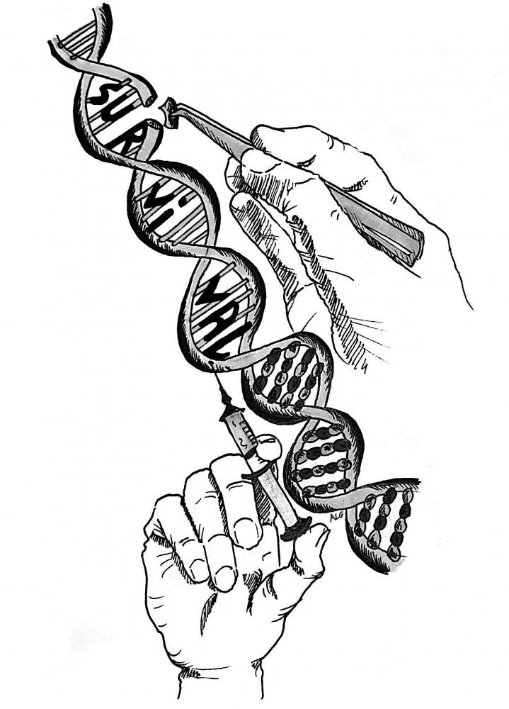 Demanche_Gene_Variants_Anh_Lise_Gilbert