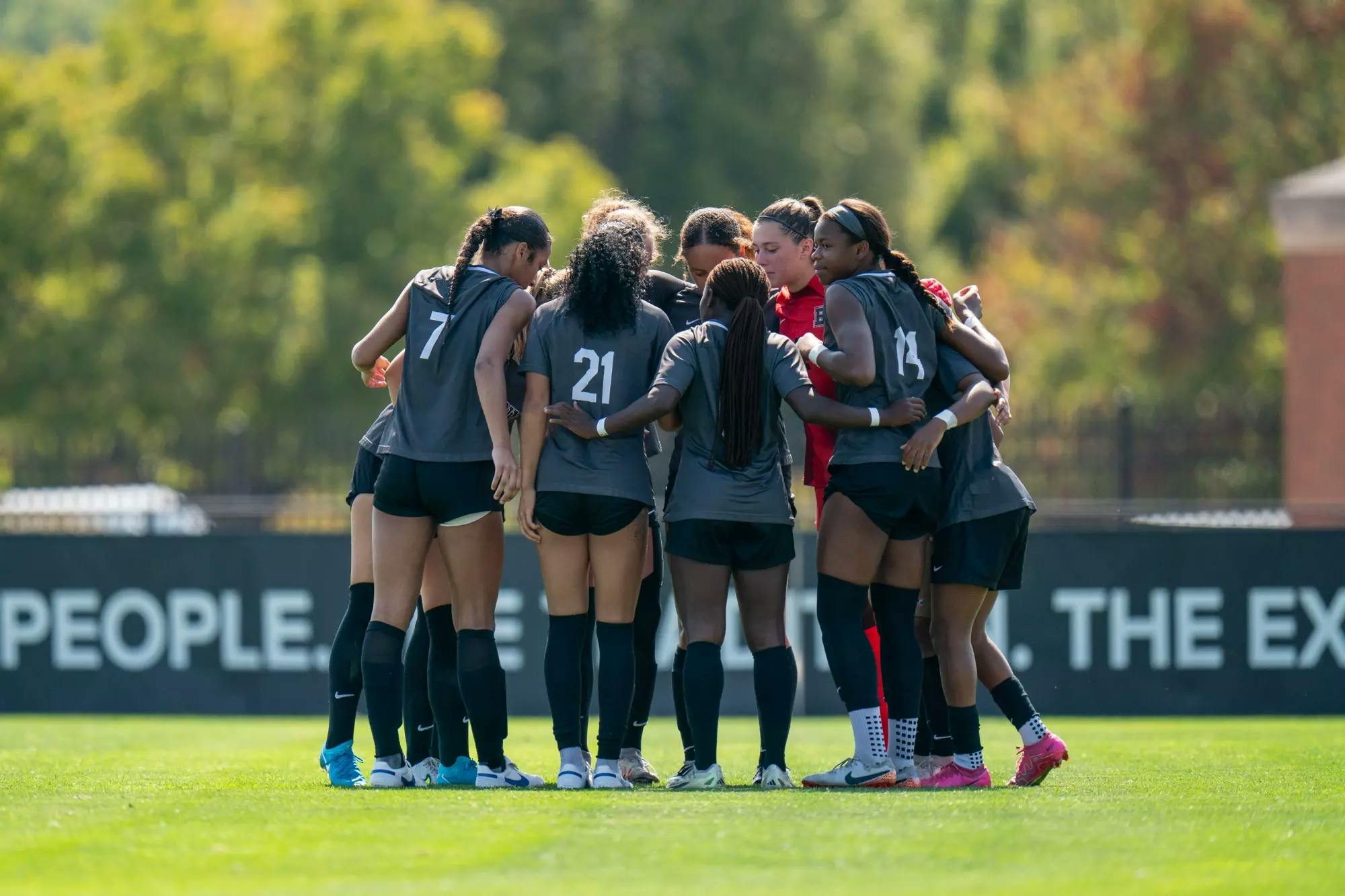 gallery_image (14).png