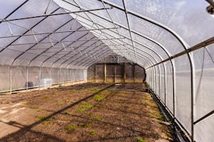 A farm greenhouse.