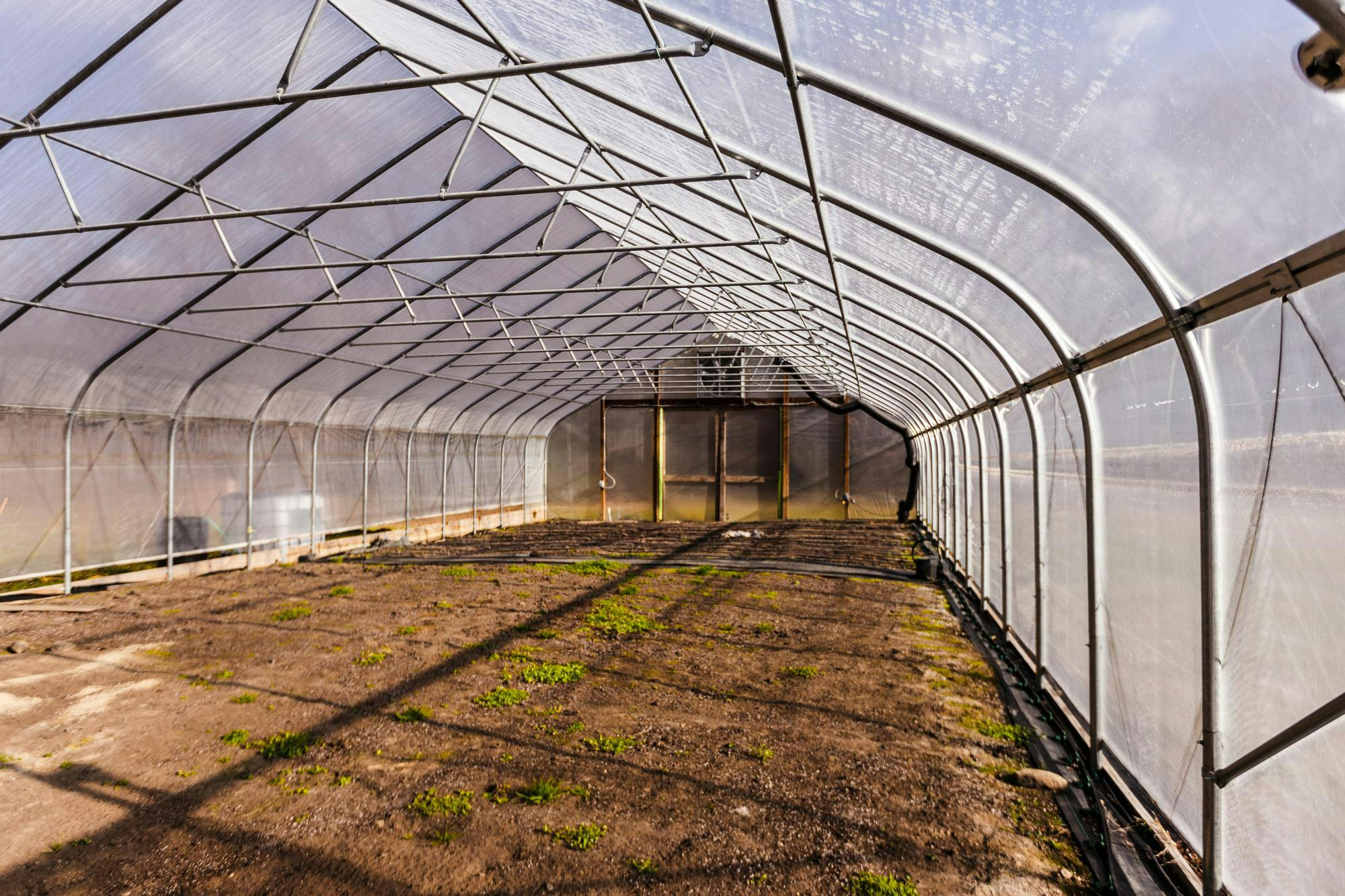 A farm greenhouse.