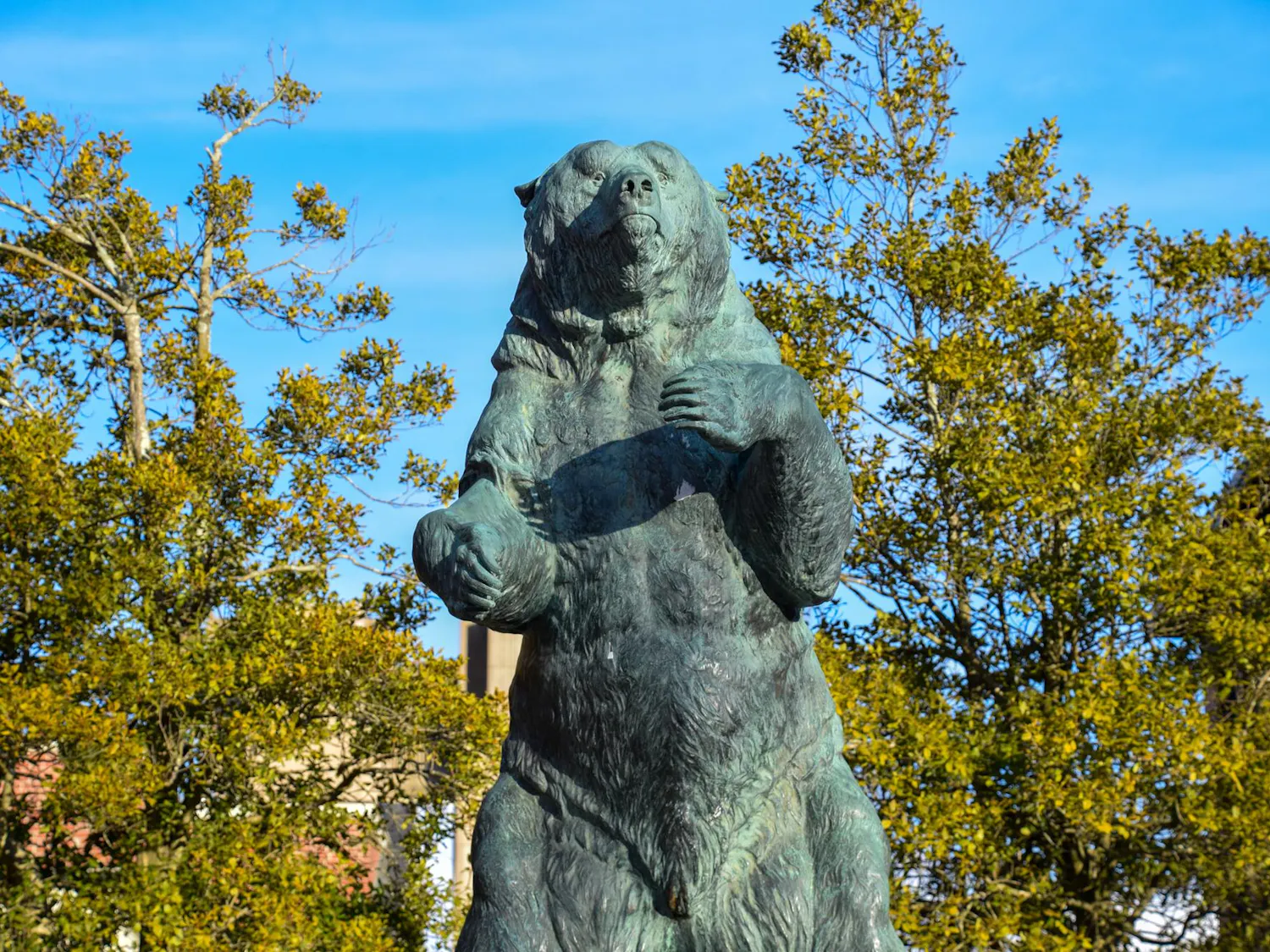 The Main Green's bear statue during the day.