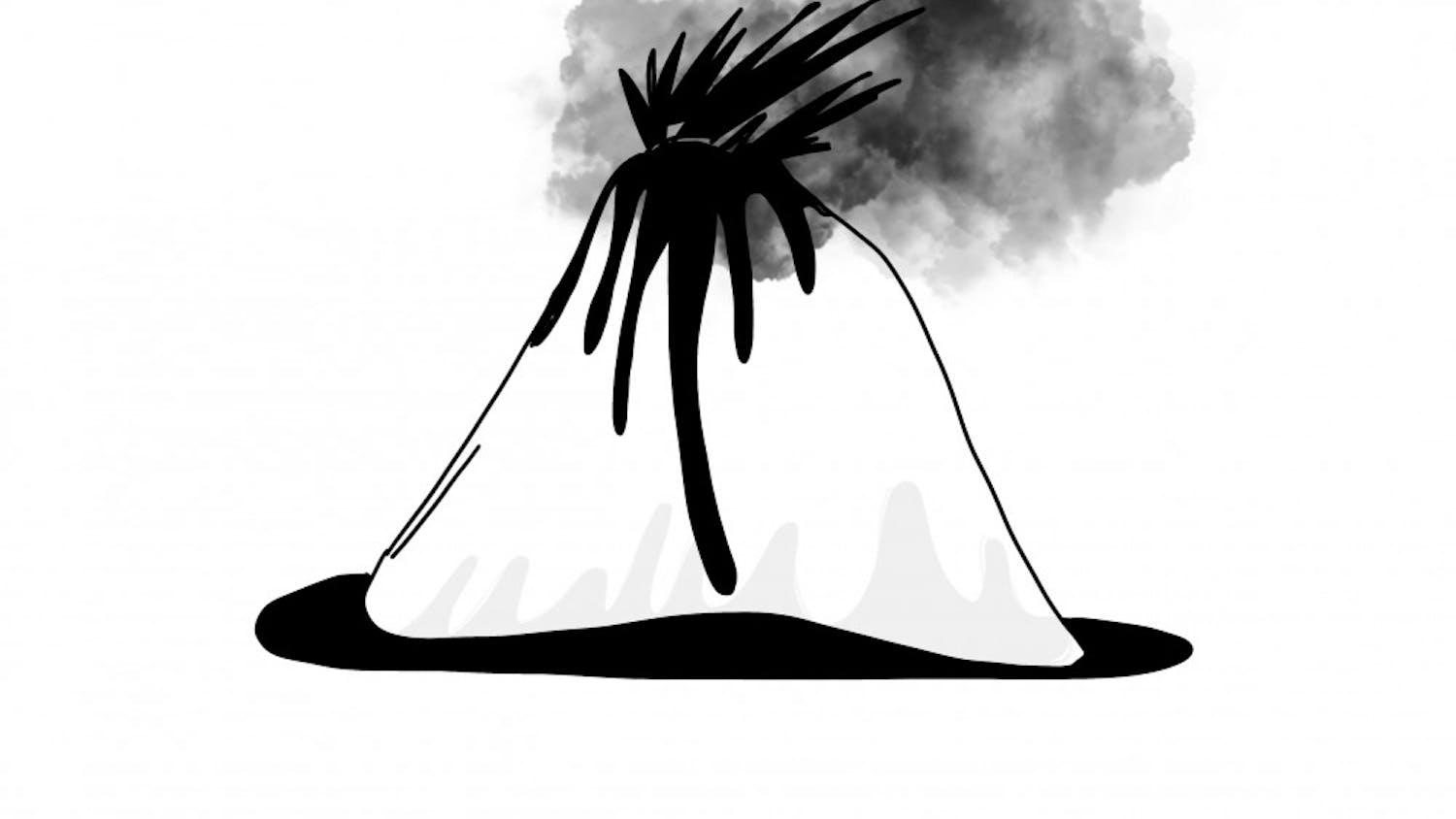 Summer-Zhang_magna-chamber