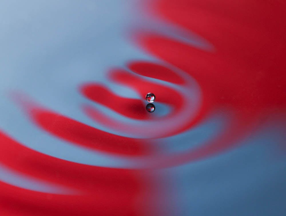 Ganga_Harris-lab_CO-Daniel-Harris