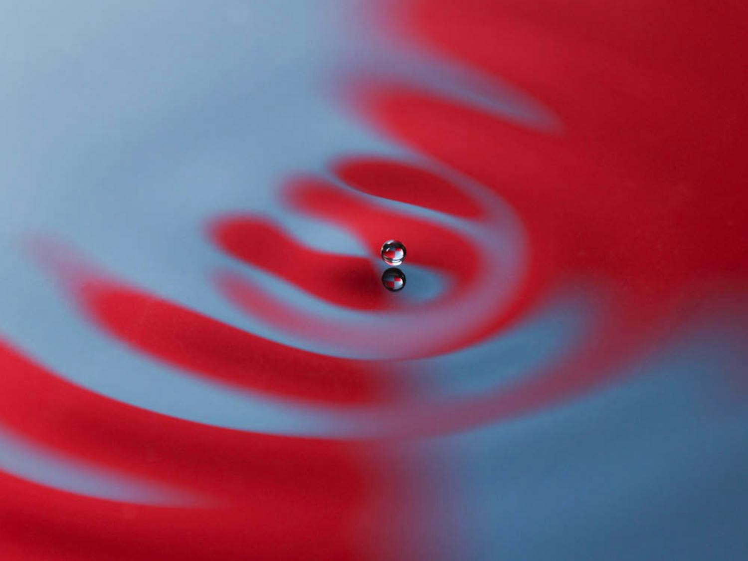 Ganga_Harris-lab_CO-Daniel-Harris