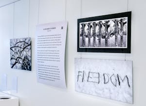 A series of artworks on a white gallery wall.