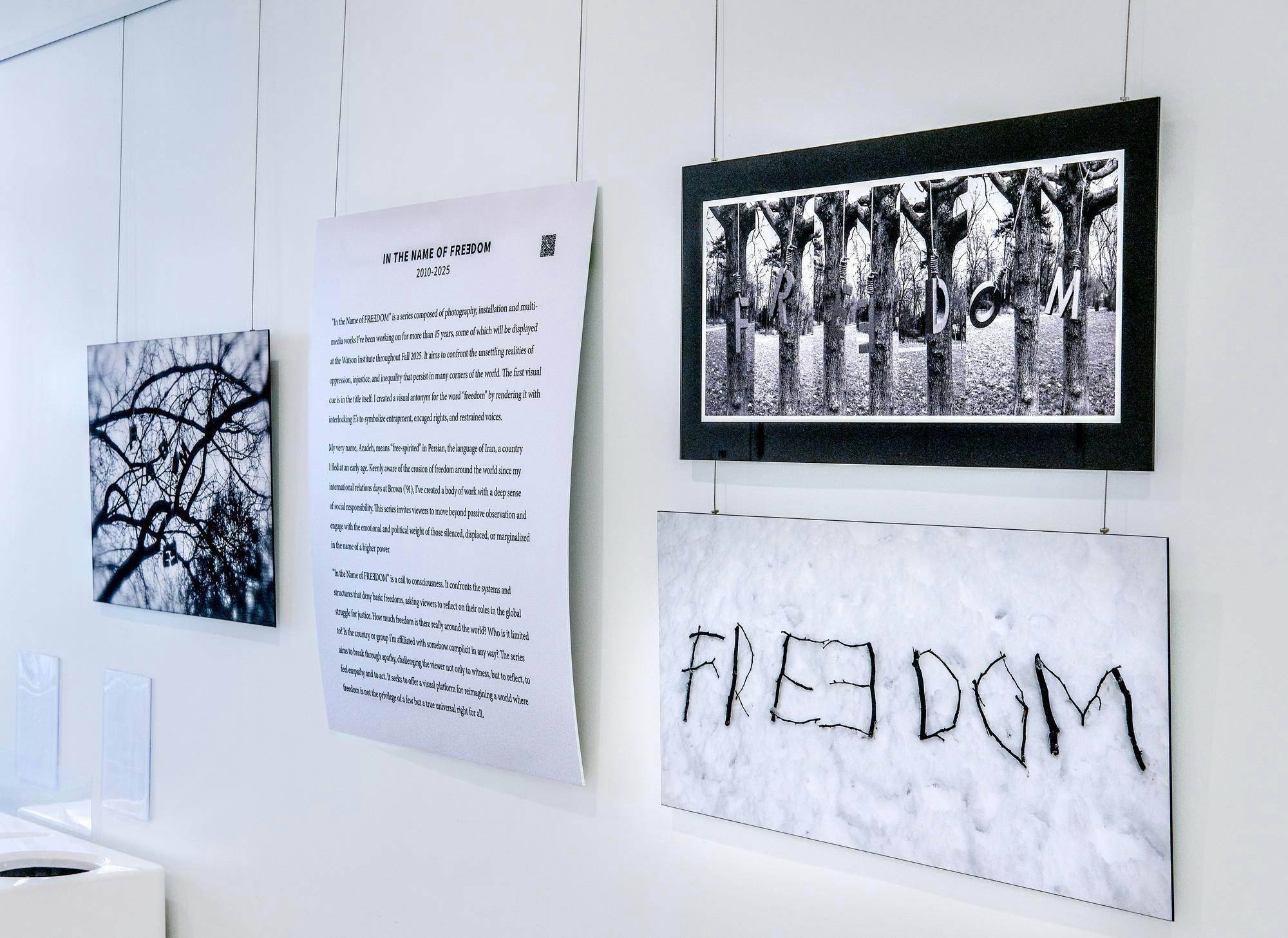 A series of artworks on a white gallery wall.