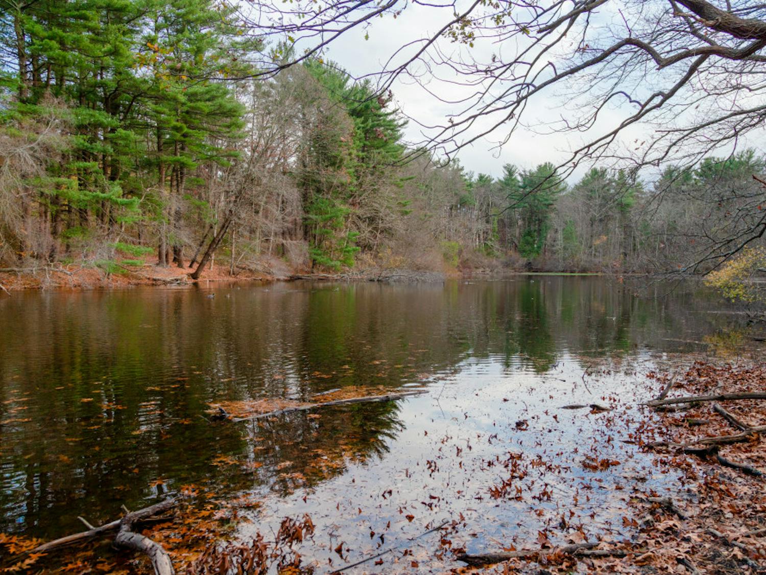 Grossman_Environment_NatHardy_3