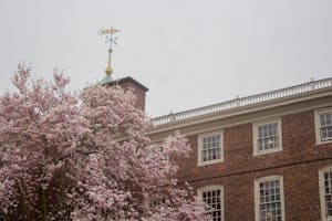 A photo of University Hall on a cloudy day with a tree in the lower left corner.