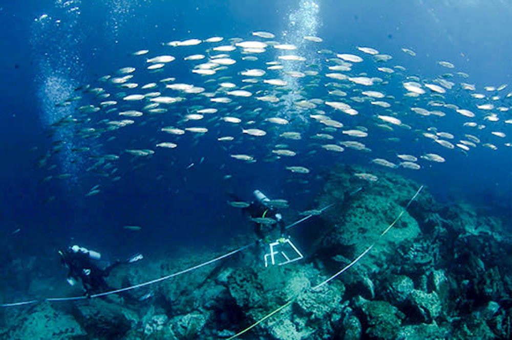 Ibrahim_Galapagos-Climate-Change_CO_Rahma-Ibrahim