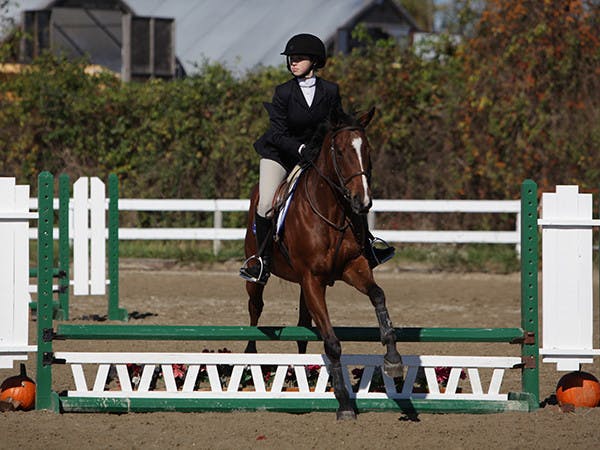 berg_nov_fenc_102514_0925_web