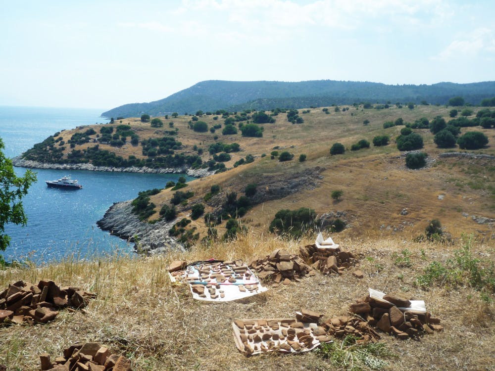 clemm_Fieldwork1_COCatieStiedl