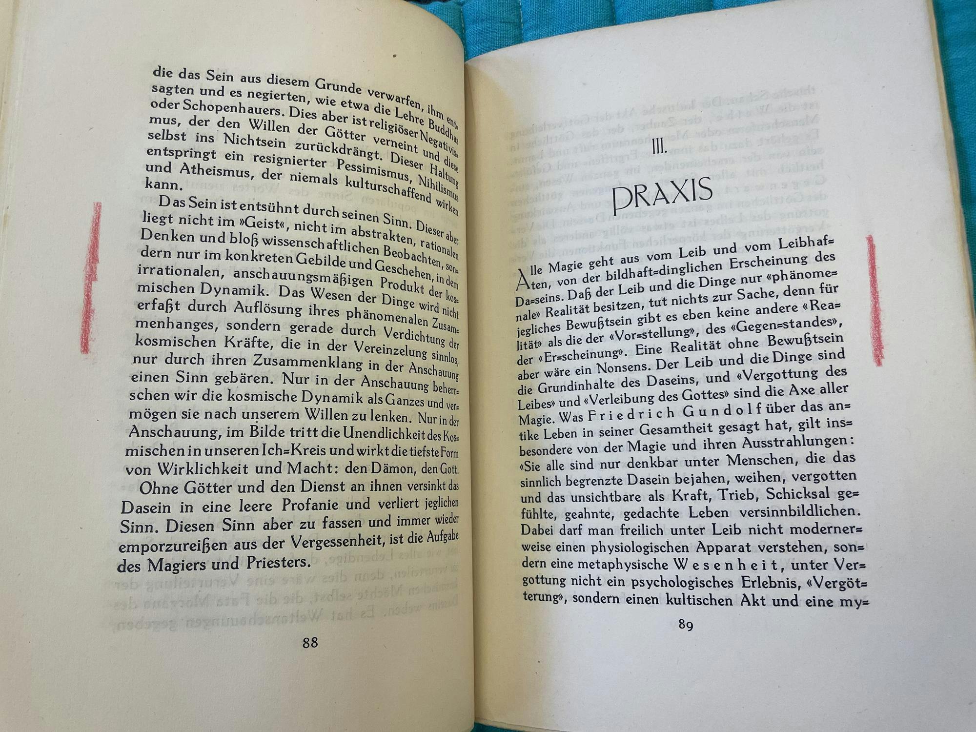 An open section of one of Hitler's books, with text on both pages. There are vertical red markings that resemble crayon markings on the sides of the page, seemingly highlighting or drawing attention to certain excerpts of the passage. There are two markings, one in the middle of the left page and the other in the middle of the right page. The book is flipped to page 88 and 89, with the right page being the first page to section III, titled "Praxis."