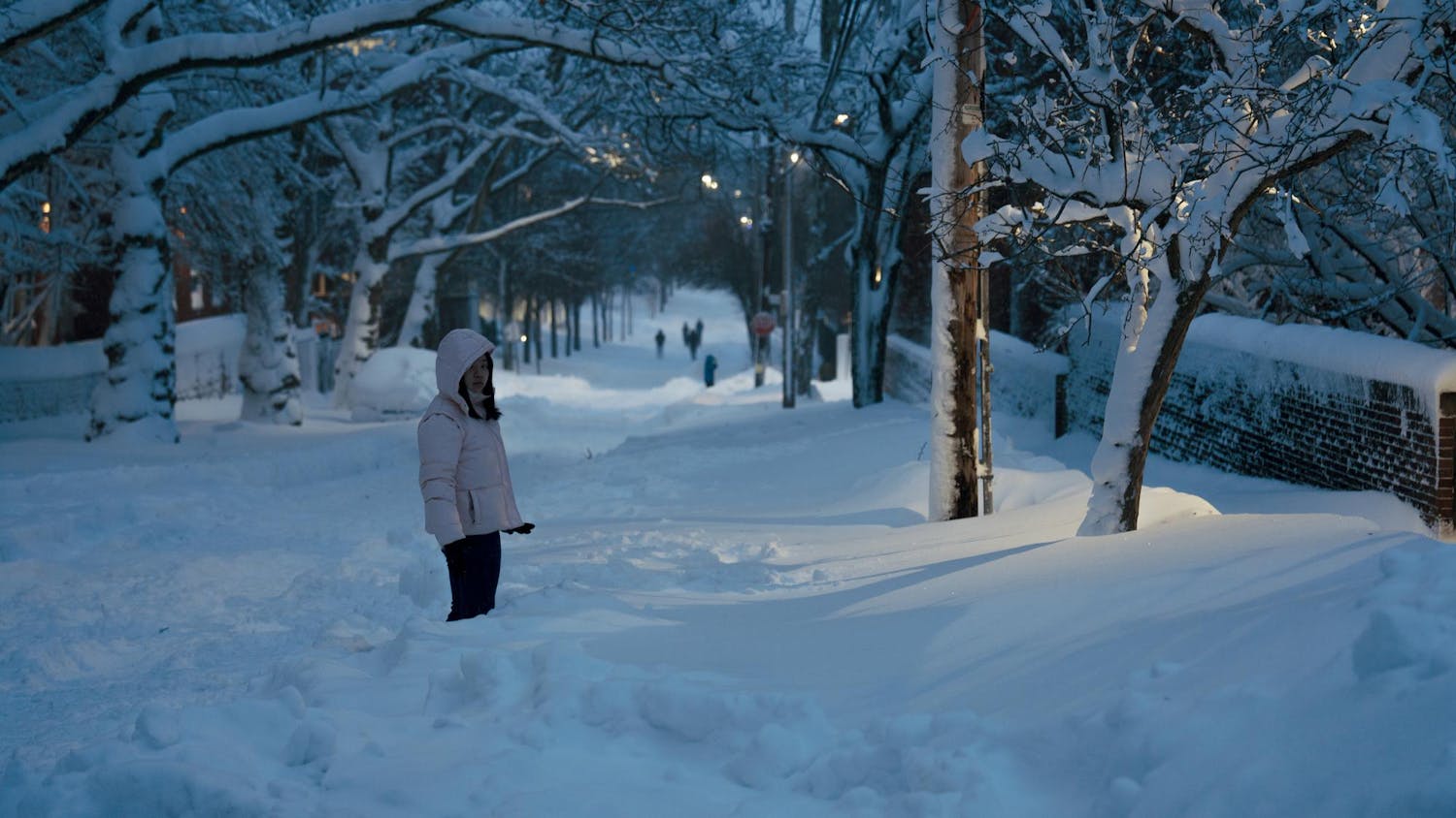 A girl in a pink jacket is pictured in knee-high snow, with trees lining the street behind her.