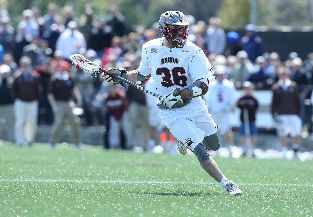 schapiro_aotw_coBrownBears