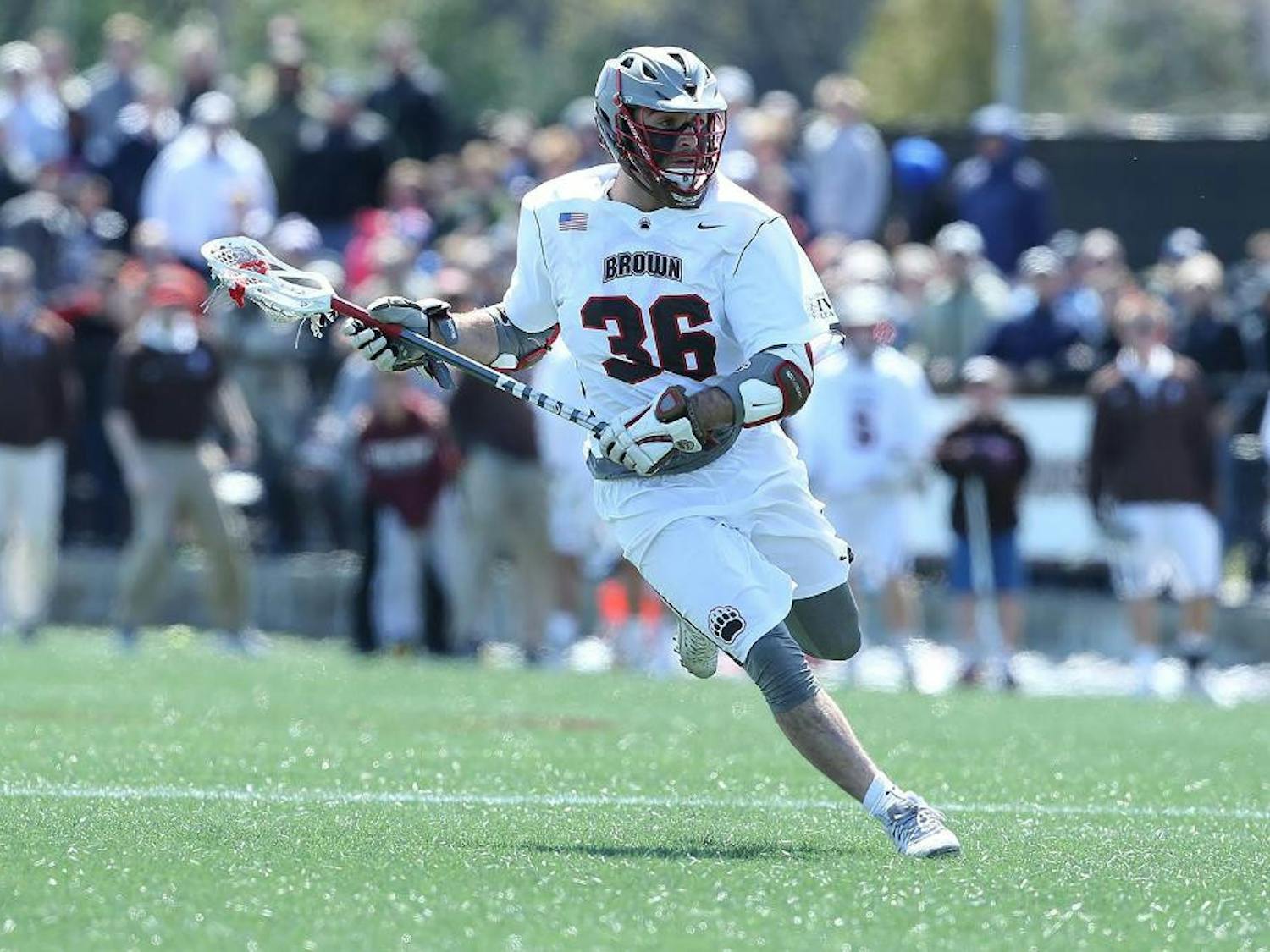 schapiro_aotw_coBrownBears