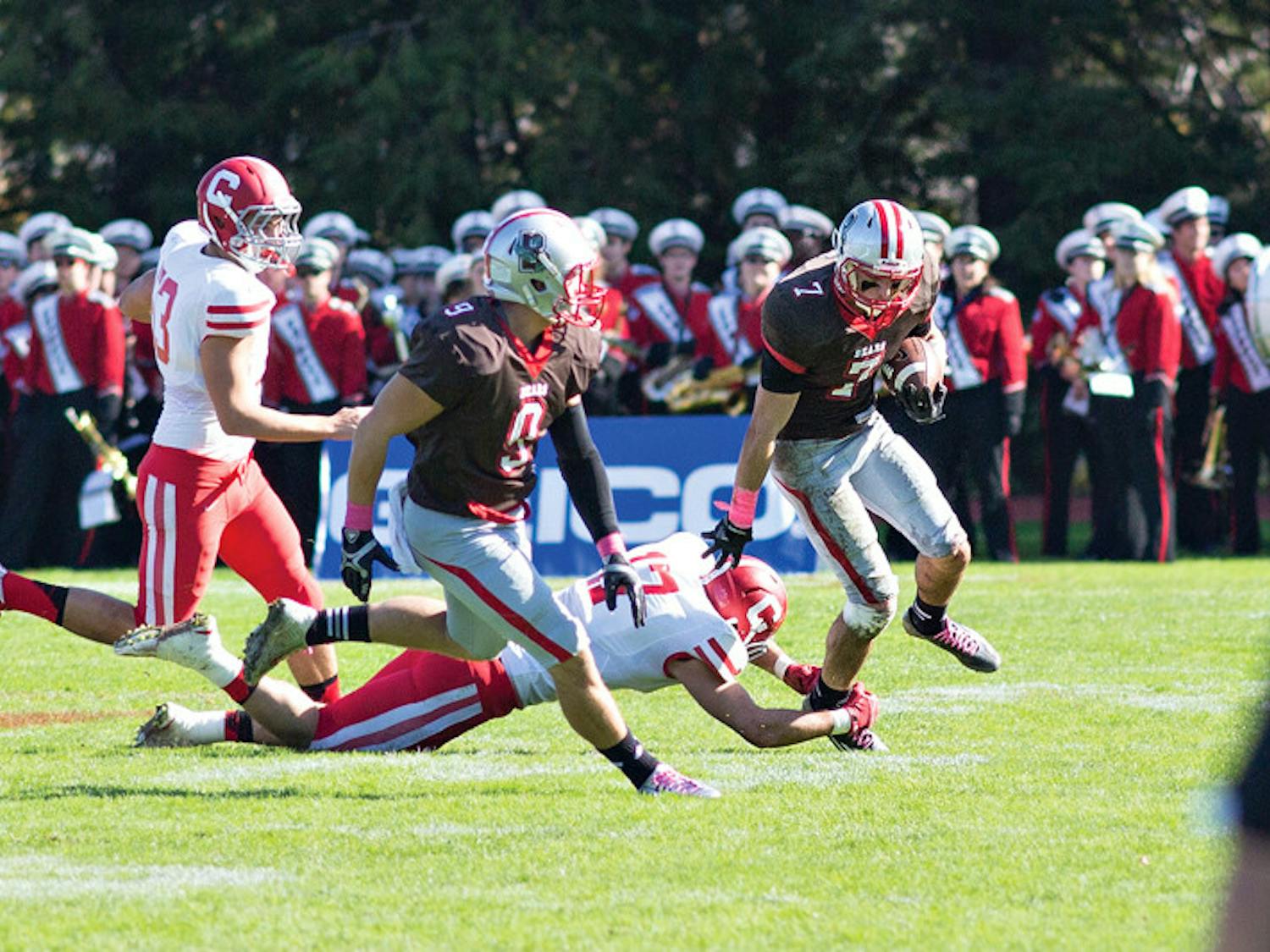 flax_football_narayen2