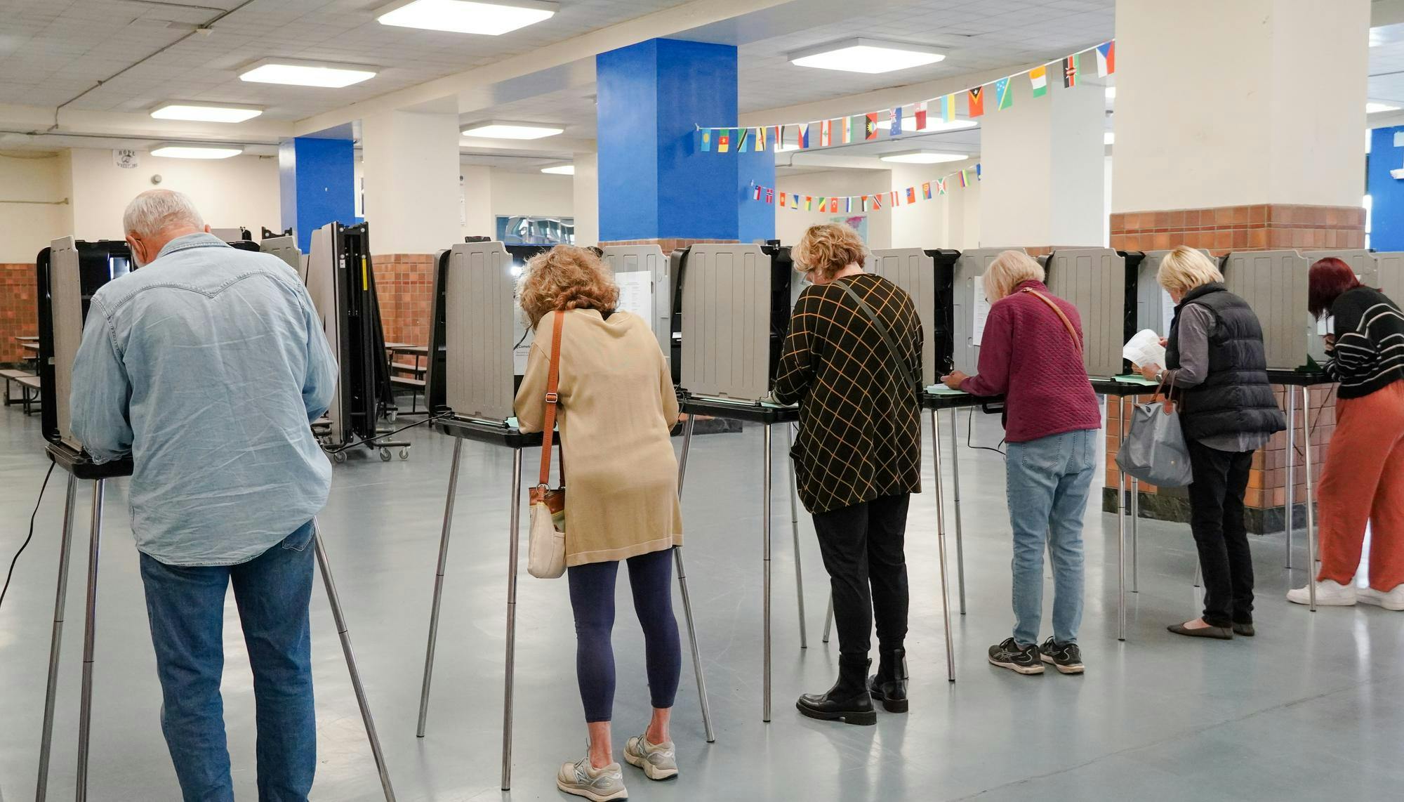 A line of voters voting in individual booths.