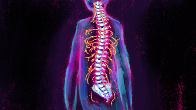Brown researchers discovers genetic switch that guides axons - Brown ...