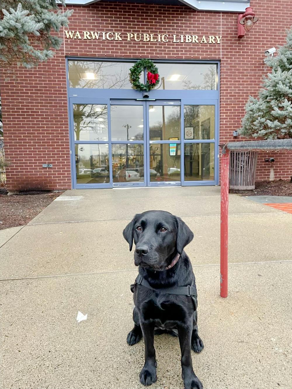 <p>Elvy’s popularity has grown to the point that staff of some offices have requested to have her at least once a week, according to Elvy&#x27;s handler and DPS Officer Dustin Coleman</p><p>Courtesy of Dustin Coleman﻿</p>