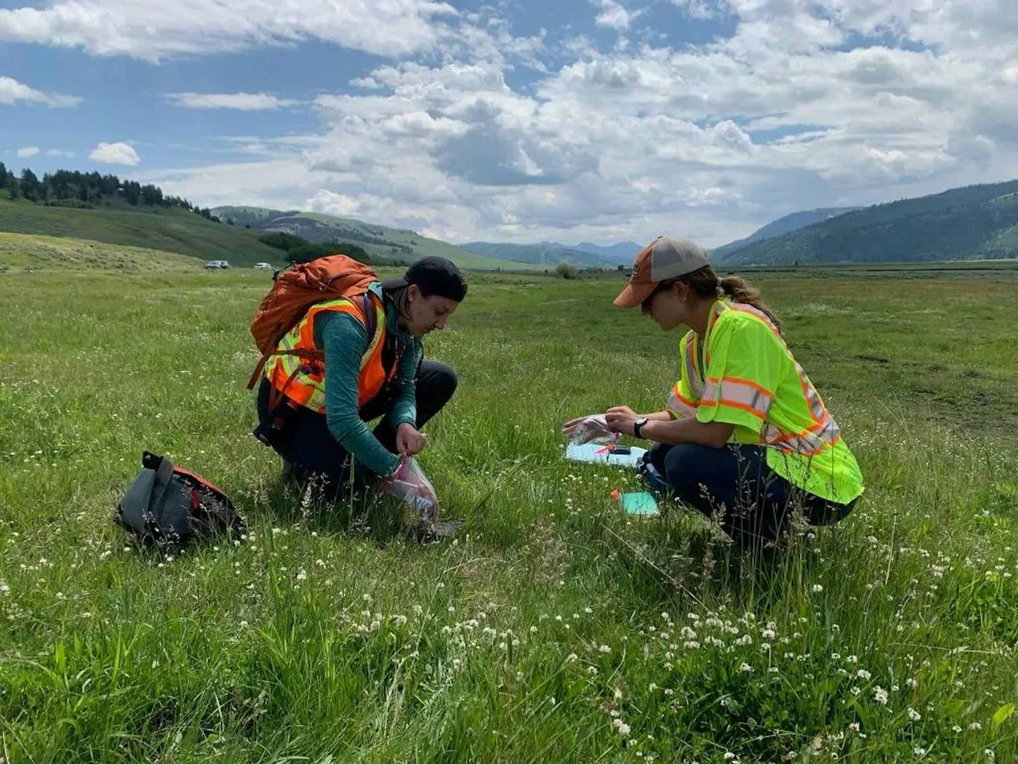 Photo of two researchers in neon vests collecting a sample from the ground in an open grassy field.