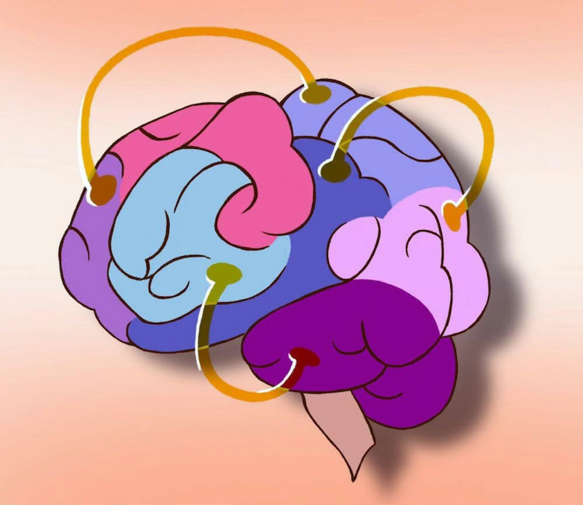 'Inspire the next generation of neuroscientists': Brown to host Brain Fair this weekend - Vimarsana News
