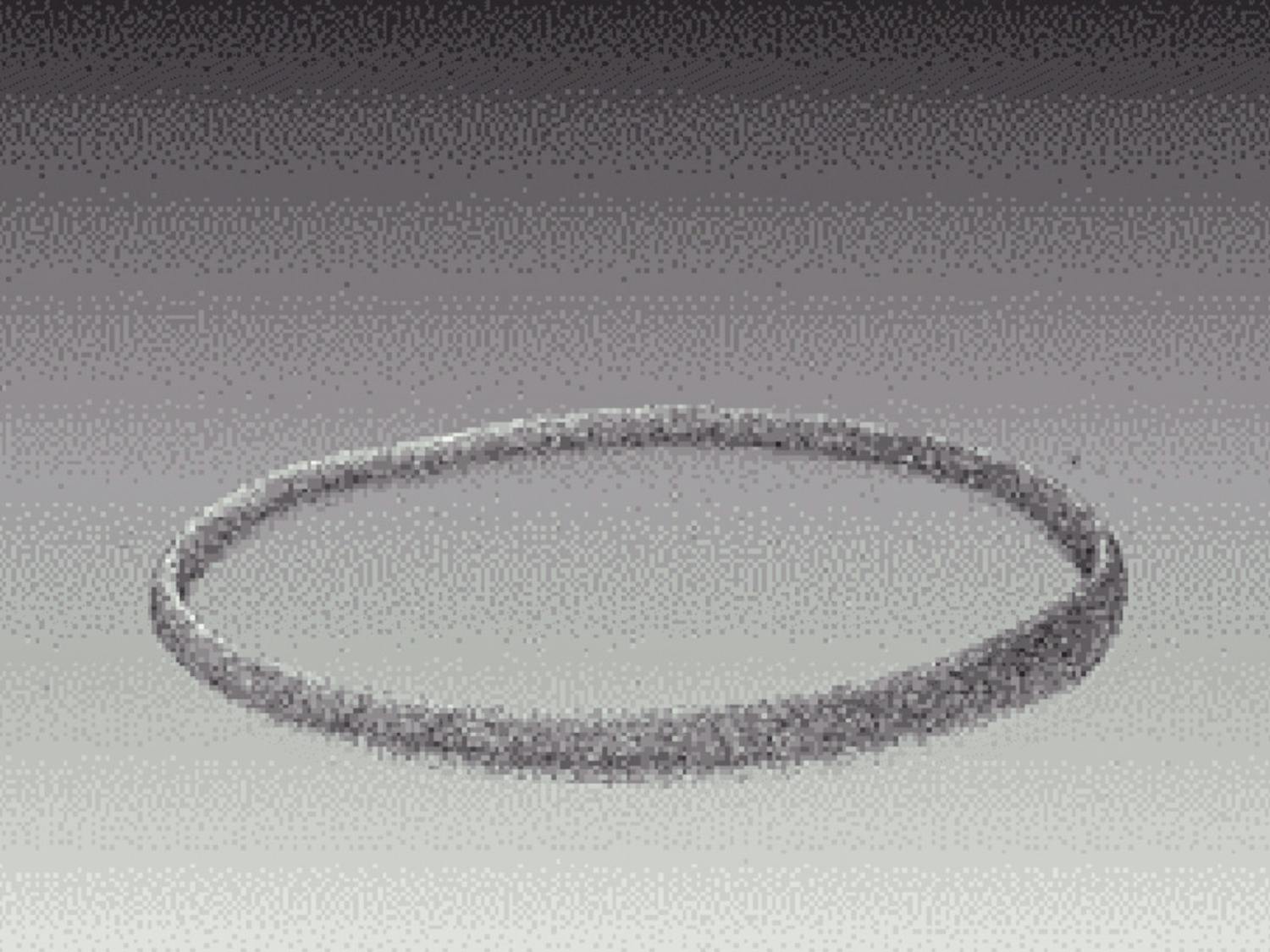 Meininger_ NewModeltoStudyConnectiveTissueDisorders_CO_Jeffery Morgan.jpg