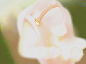 To Mr. Chalamet, With Gratitude