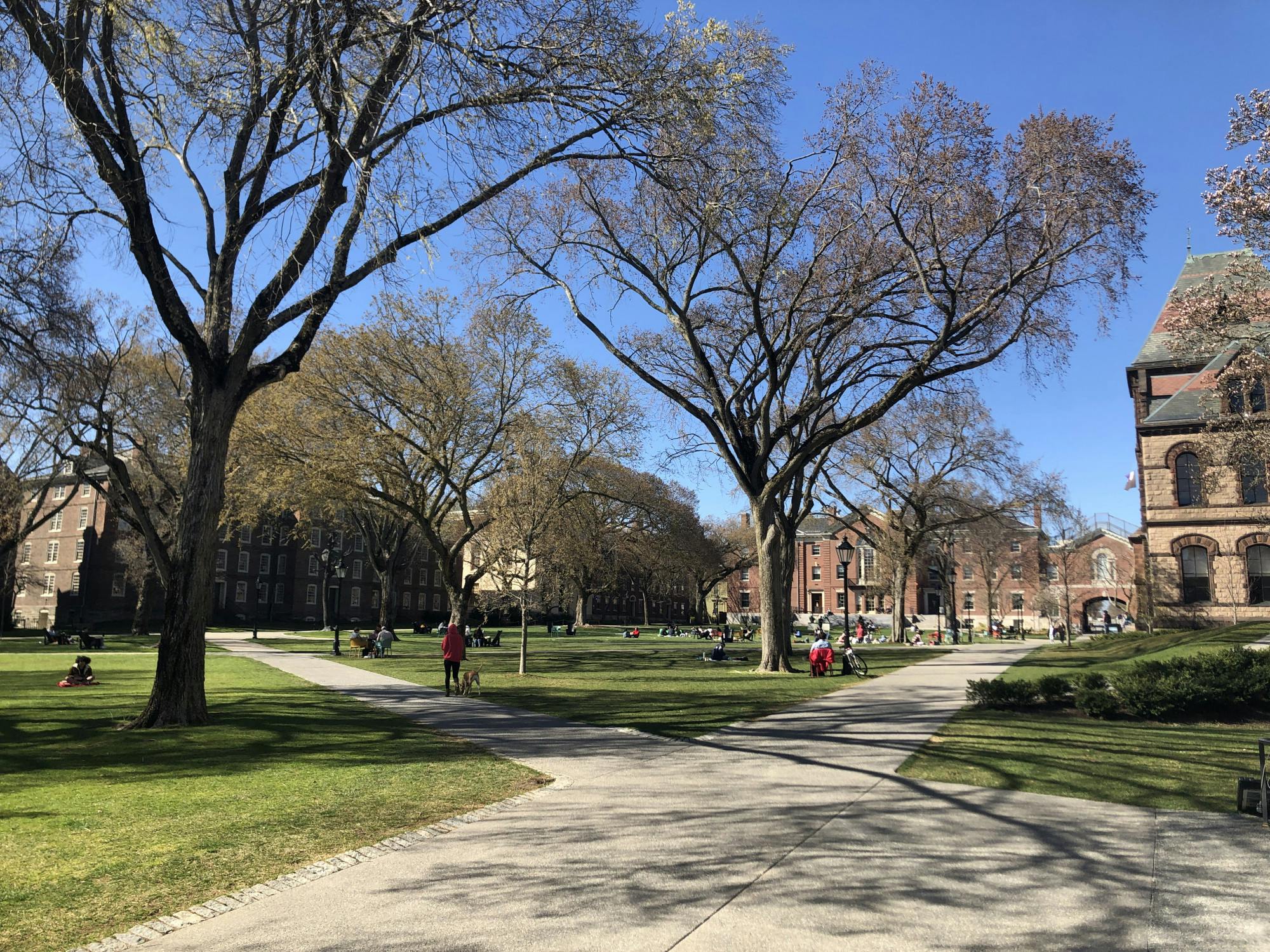 Williams_First_Year_Reflect_CO_Tracy_Pan