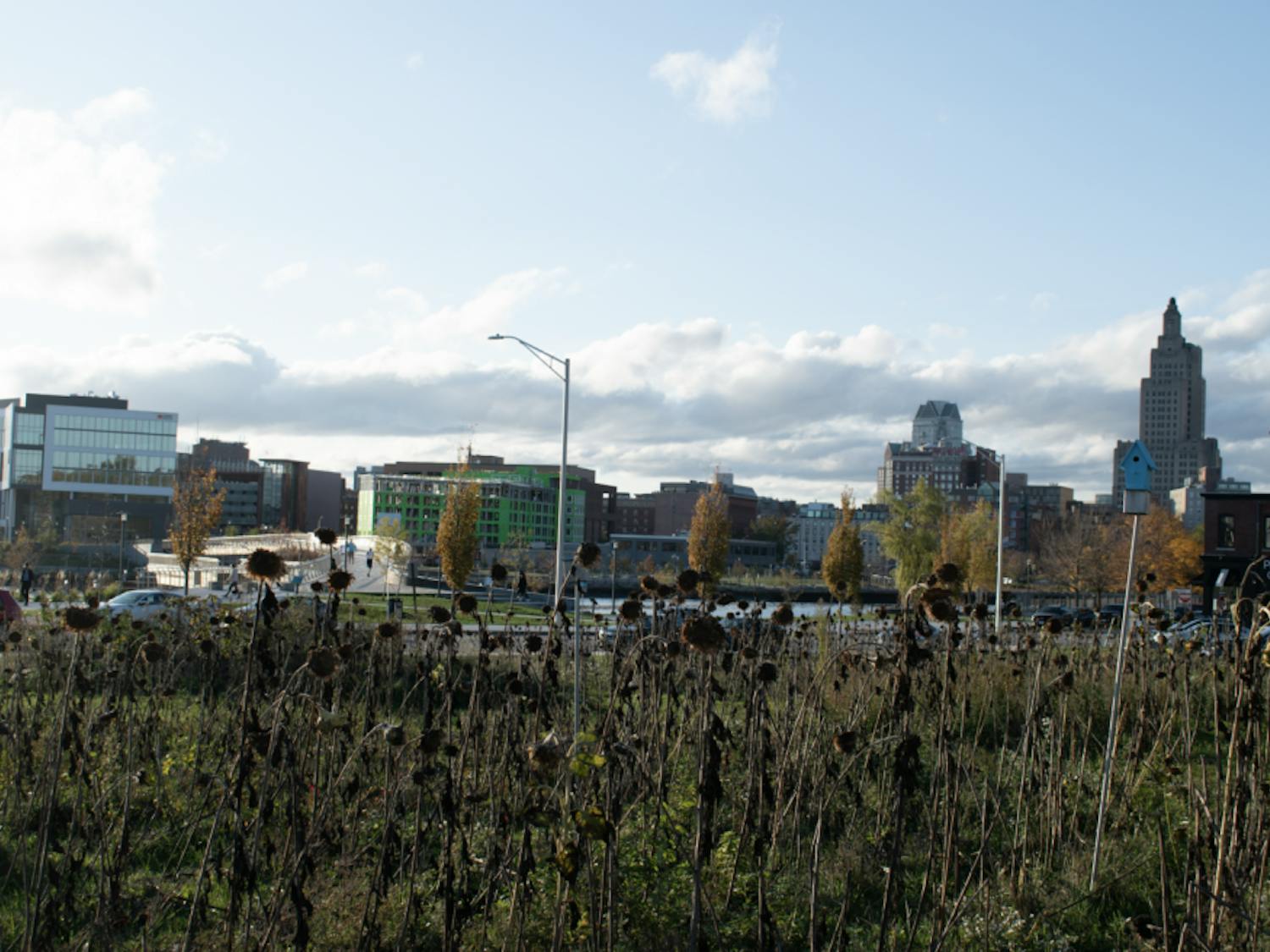 disability-co-rebecca-ho