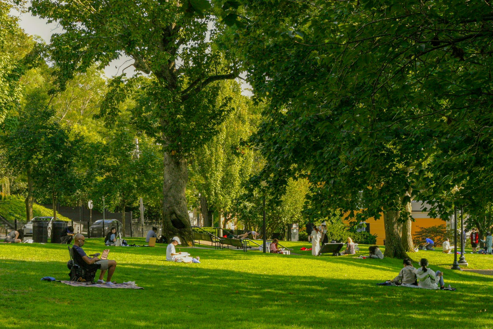 Photo of Prospect Terrace on a sunny afternoon with people enjoying the weather.