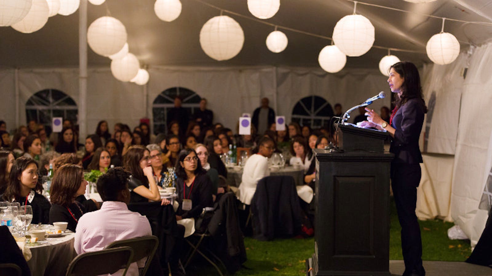 DIAP to grow minority mentoring programs - The Brown Daily Herald